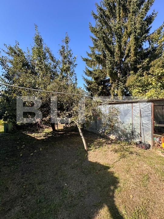 Casa de vânzare 3 camere Radauti - 207608CV | BLITZ Suceava | Poza7
