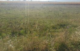 Teren de vanzare, 800 mp, zona Sud-Vest
