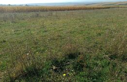 Teren de vanzare, 800 mp, zona Sud-Vest