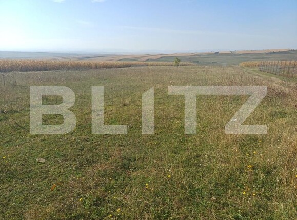 Teren de vânzare Moara - 207700TV | BLITZ Suceava | Poza1
