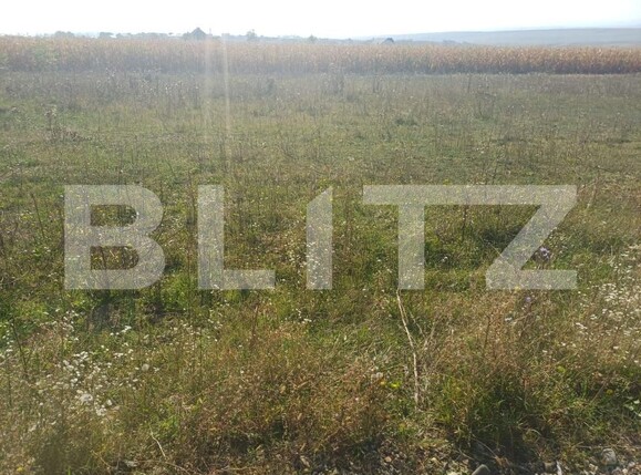 Teren de vânzare Moara - 207700TV | BLITZ Suceava | Poza4