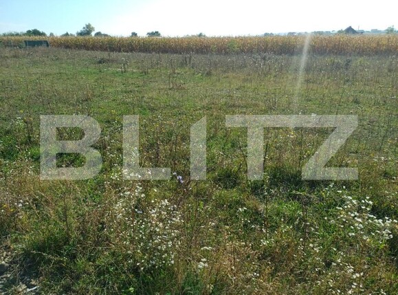 Teren de vânzare Moara - 207700TV | BLITZ Suceava | Poza3