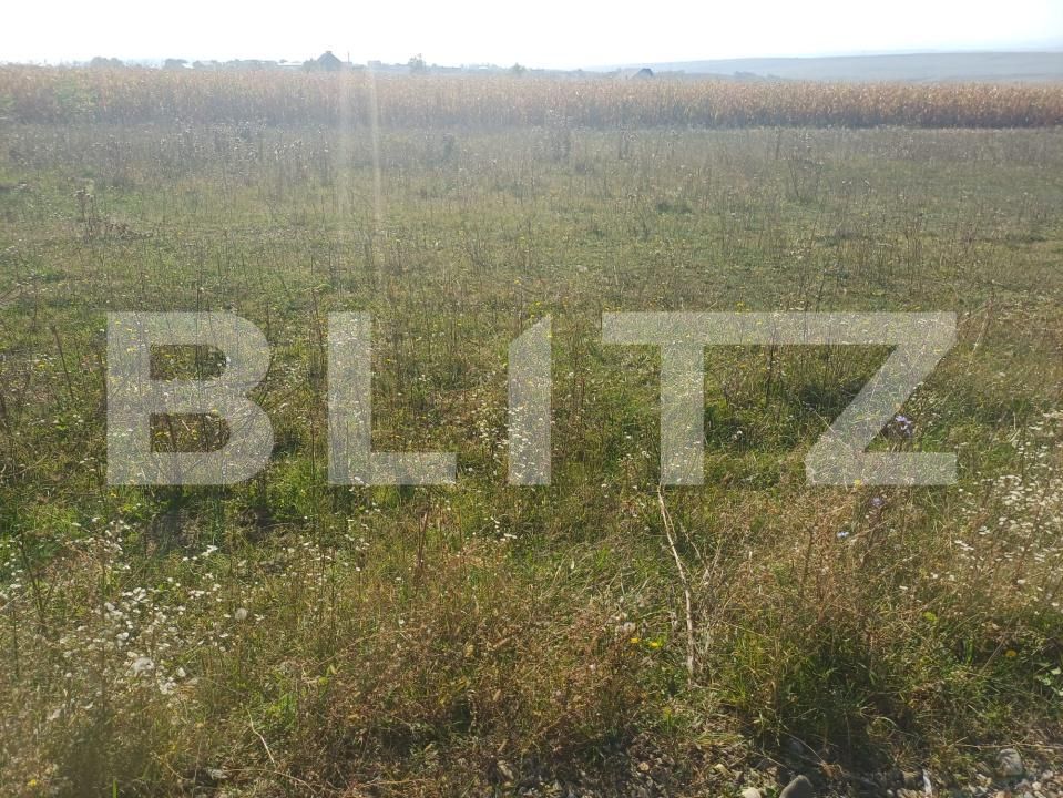 Teren de vânzare Moara - 207700TV | BLITZ Suceava | Poza4