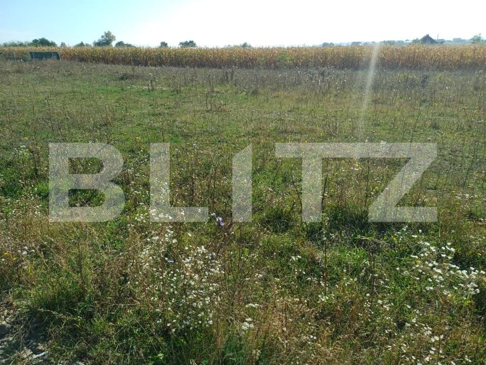 Teren de vânzare Moara - 207700TV | BLITZ Suceava | Poza3