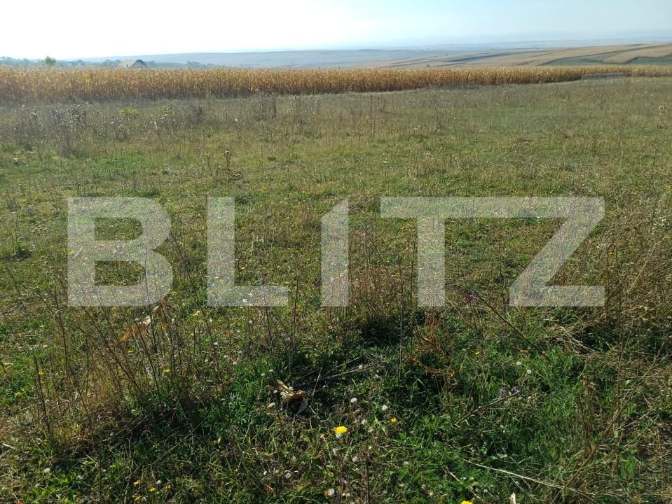 Teren de vânzare Moara - 207700TV | BLITZ Suceava | Poza2