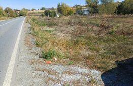 Teren intravilan, 38 ari, zona Sud - Liteni