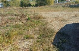 Teren intravilan, 38 ari, zona Sud - Liteni