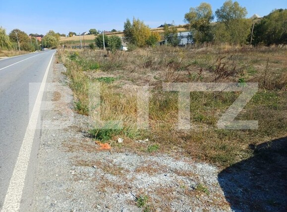Teren de vânzare Liteni (Moara) - 207709TV | BLITZ Suceava | Poza3