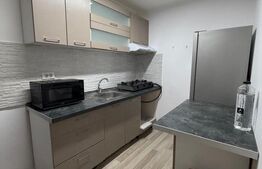 Garsoniera de inchiriat, 30 mp, zona Centrală
