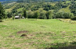 Teren extravilan, 21.000 mp, zona Sud-Est