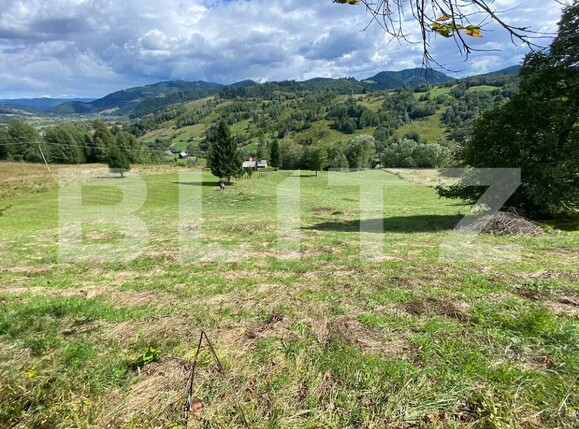 Teren de vânzare Campulung Moldovenesc - 207914TV | BLITZ Suceava | Poza1