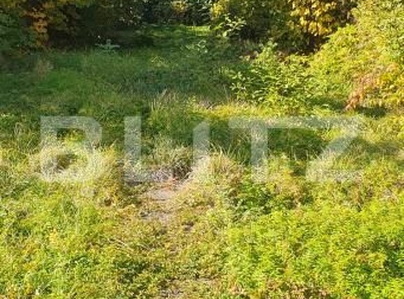 Casa de vânzare 3 camere Vatra Dornei - 207921CV | BLITZ Suceava | Poza4