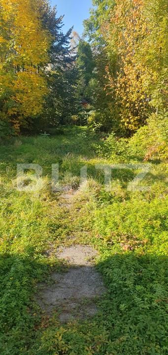Casa de vânzare 3 camere Vatra Dornei - 207921CV | BLITZ Suceava | Poza4
