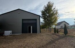 Hală de închiriat, 260 mp, zona Sud