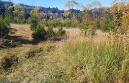 Teren intravilan, 1477 mp, zona Plaiul Sarului - Vatra Dornei
