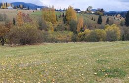 Teren intravilan, 4000 mp, zona Panaci - Vatra Dornei