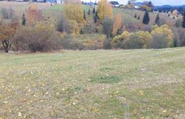 Teren intravilan, 4000 mp, zona Panaci - Vatra Dornei