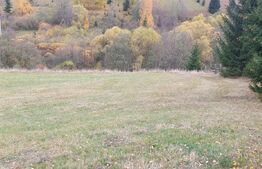 Teren intravilan, 4000 mp, zona Panaci - Vatra Dornei