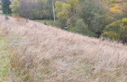 Teren intravilan, 4000 mp, zona Panaci - Vatra Dornei