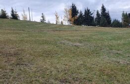 Teren intravilan, 4000 mp, zona Panaci - Vatra Dornei