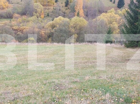 Teren de vânzare Panaci - 208337TV | BLITZ Suceava | Poza5