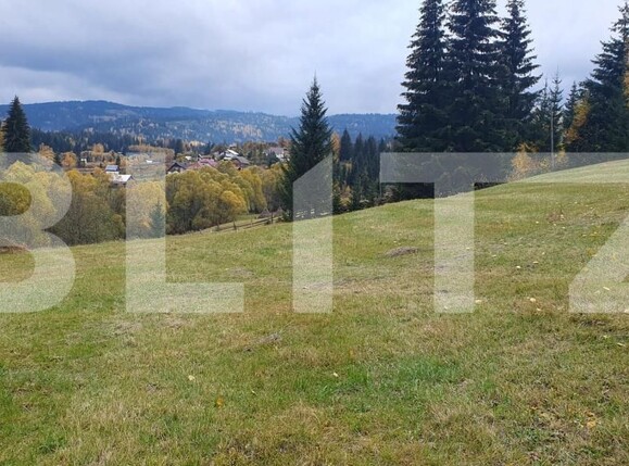 Teren de vânzare Panaci - 208337TV | BLITZ Suceava | Poza1