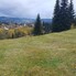 Teren de vânzare Panaci - 208337TV - Poza 1 din 9 | BLITZ Suceava | Poza9