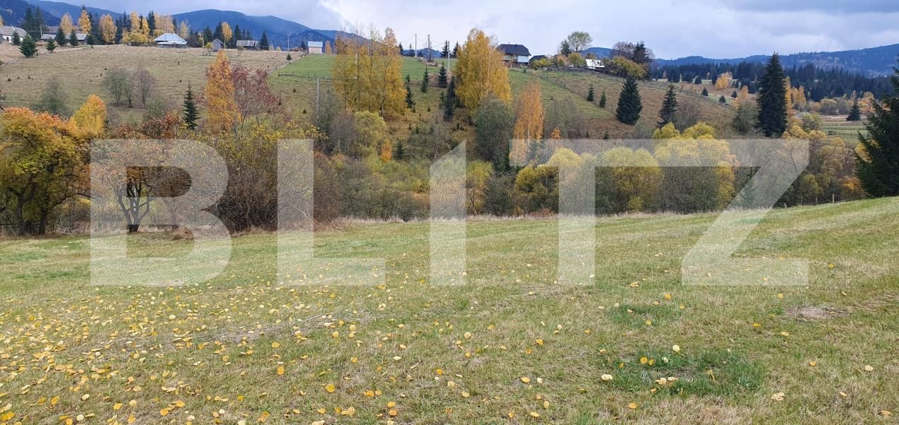 Teren de vânzare Panaci - 208337TV | BLITZ Suceava | Poza4