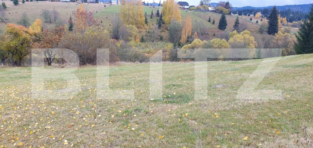 Teren de vânzare Panaci - 208337TV | BLITZ Suceava | Poza6
