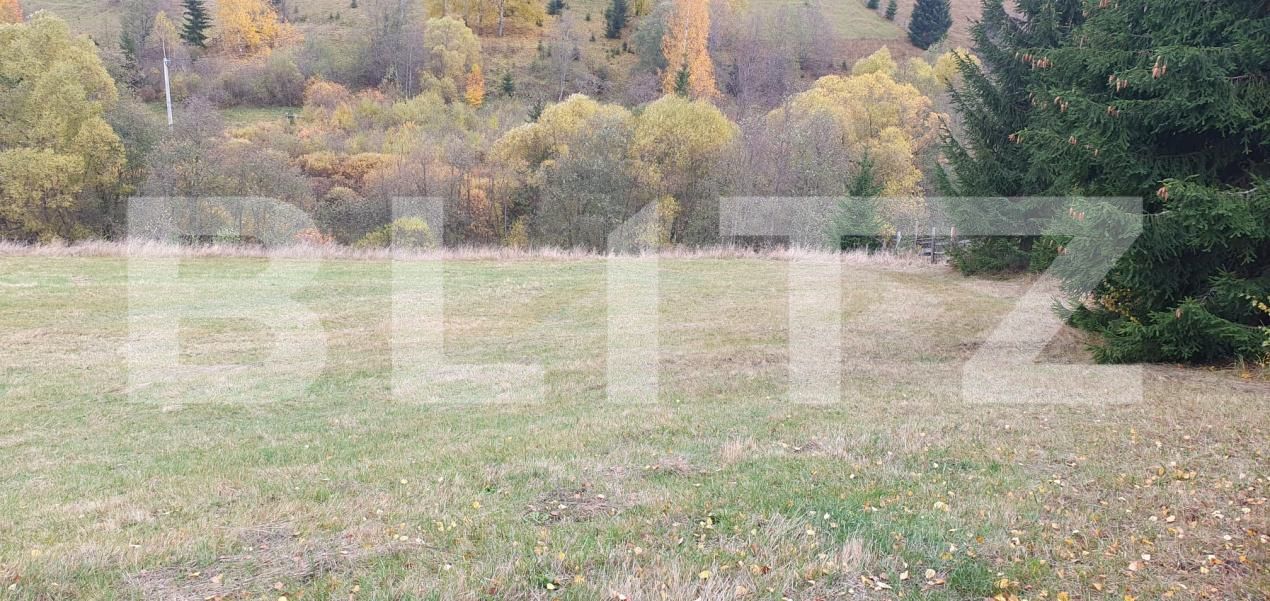 Teren de vânzare Panaci - 208337TV | BLITZ Suceava | Poza5