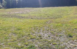 Teren intravilan, 5855 mp, zona Vatra Dornei