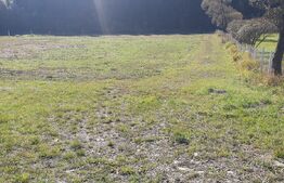 Teren intravilan, 5855 mp, zona Vatra Dornei