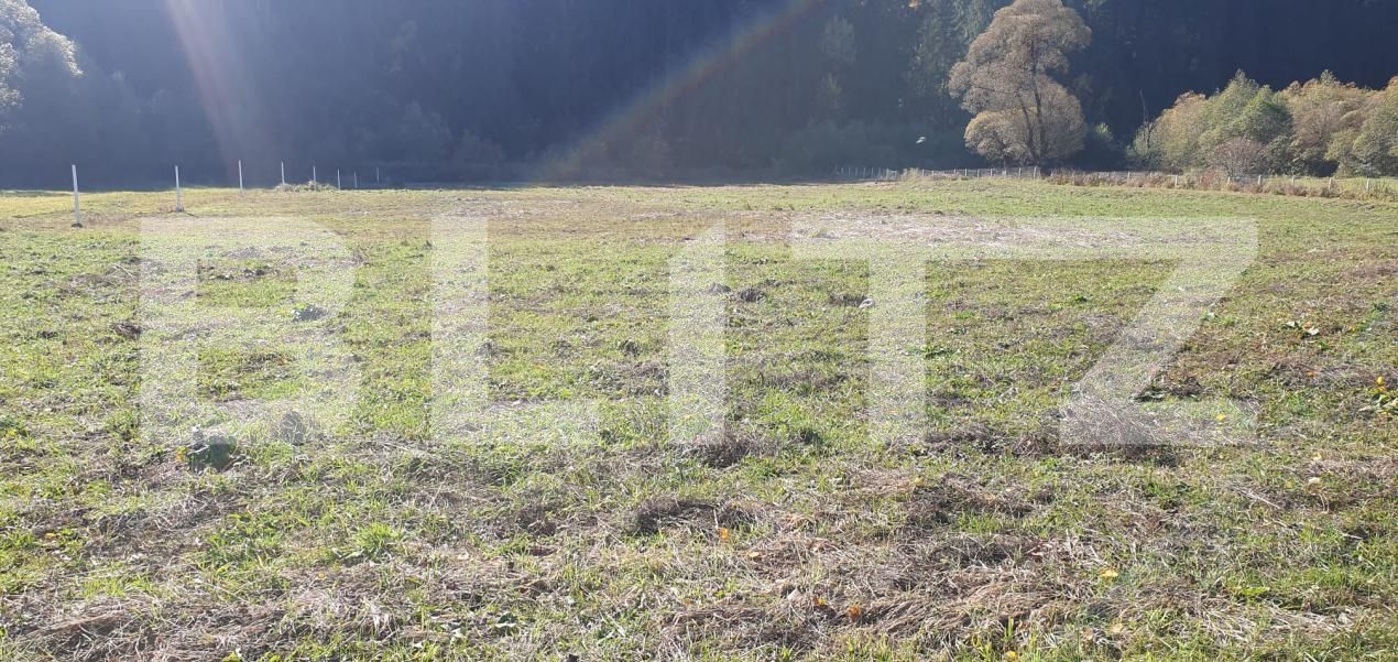 Teren de vânzare Vatra Dornei - 208513TV | BLITZ Suceava | Poza2