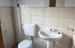 Hală de vânzare, 124 mp, teren 1400 mp, zona Vama