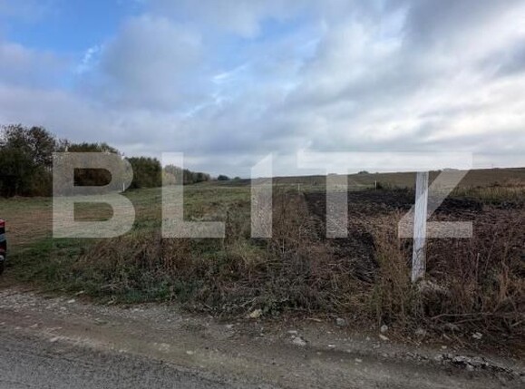 Teren de vânzare Periferie - 208560TV | BLITZ Suceava | Poza1