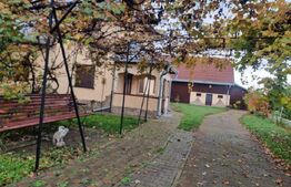 Casa spatioasa de vanzare,180mp utili,Iaslovat