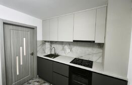 Apartament 2 camere, renovat total, Siret, Suceava 