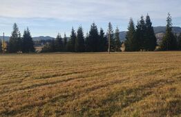 Teren extravilan, 9031 mp, zona  Panaci - Vatra Dornei