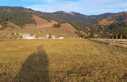 Teren extravilan, 9031 mp, zona  Panaci - Vatra Dornei