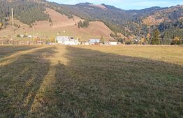 Teren extravilan, 9031 mp, zona  Panaci - Vatra Dornei