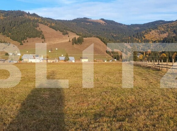 Teren de vânzare Vatra Dornei - 208690TV | BLITZ Suceava | Poza1