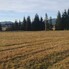 Teren de vânzare Vatra Dornei - 208690TV - Poza 1 din 6 | BLITZ Suceava | Poza2