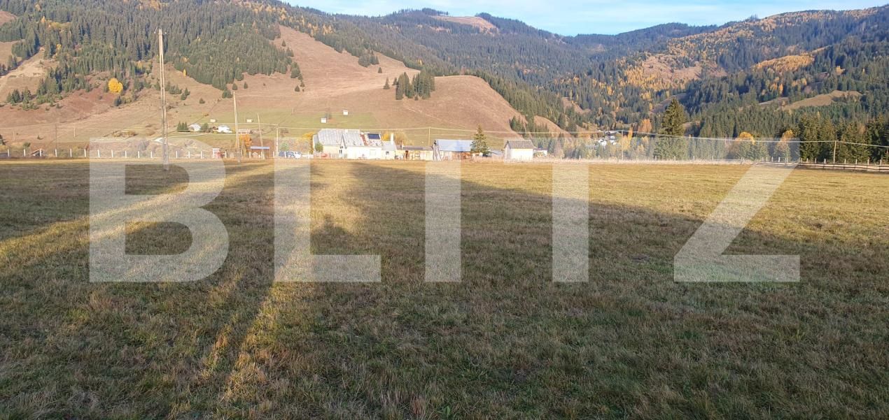 Teren de vânzare Vatra Dornei - 208690TV | BLITZ Suceava | Poza2
