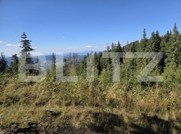 Teren de vânzare Vatra Dornei - 208691TV | BLITZ Suceava | Poza1