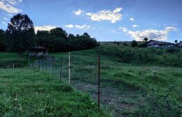 Teren de vânzare Galanesti - 144625TV | BLITZ Suceava | Poza1