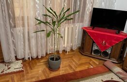 Apartament 3 camere, 90mp, parter, Cartier Obcini