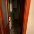 Apartament de vânzare 3 camere Obcini - 208714AV - Poza 1 din 11 | BLITZ Suceava | Poza3