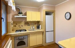 Apartament cu 2 camere, 50 mp, zona Centrală