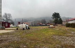 Hale de vânzare, 295 mp, zona Nord - Frasin