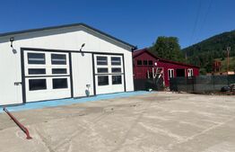 Hale de vânzare, 295 mp, zona Nord - Frasin